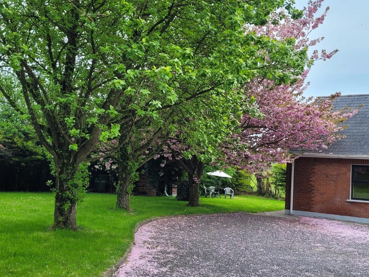 Beechwood House ,Apartment C15Ya44 Slane Luaran gambar