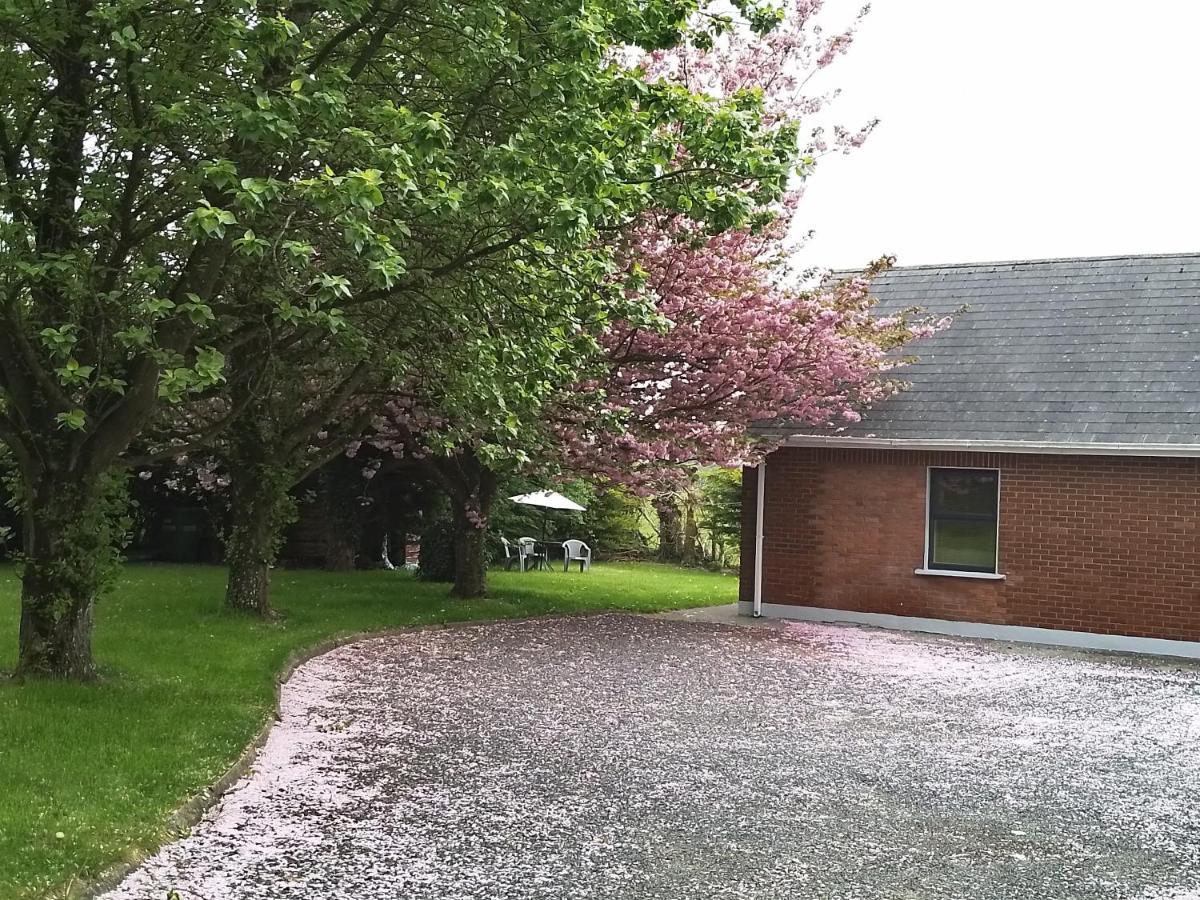 Beechwood House ,Apartment C15Ya44 Slane Luaran gambar